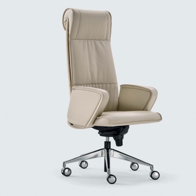 Scaun executiv Aresline Parlament